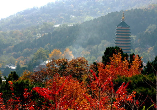 Пекин осенью, часть третья