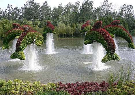 Ботанический сад в Пекине
